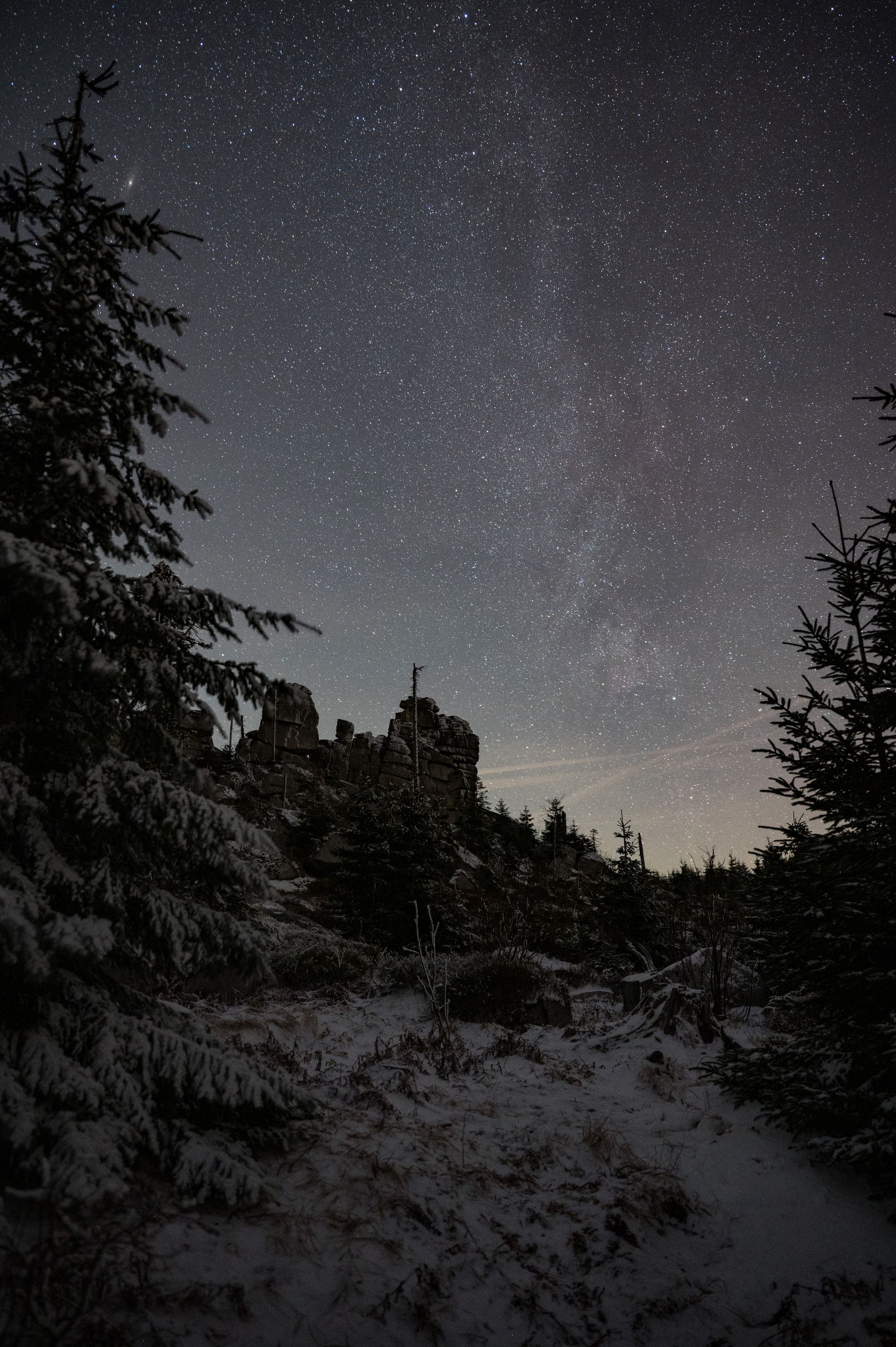Sternenhimmel über einem nächtlichen Wald